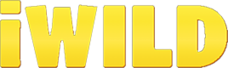 IWild Casino